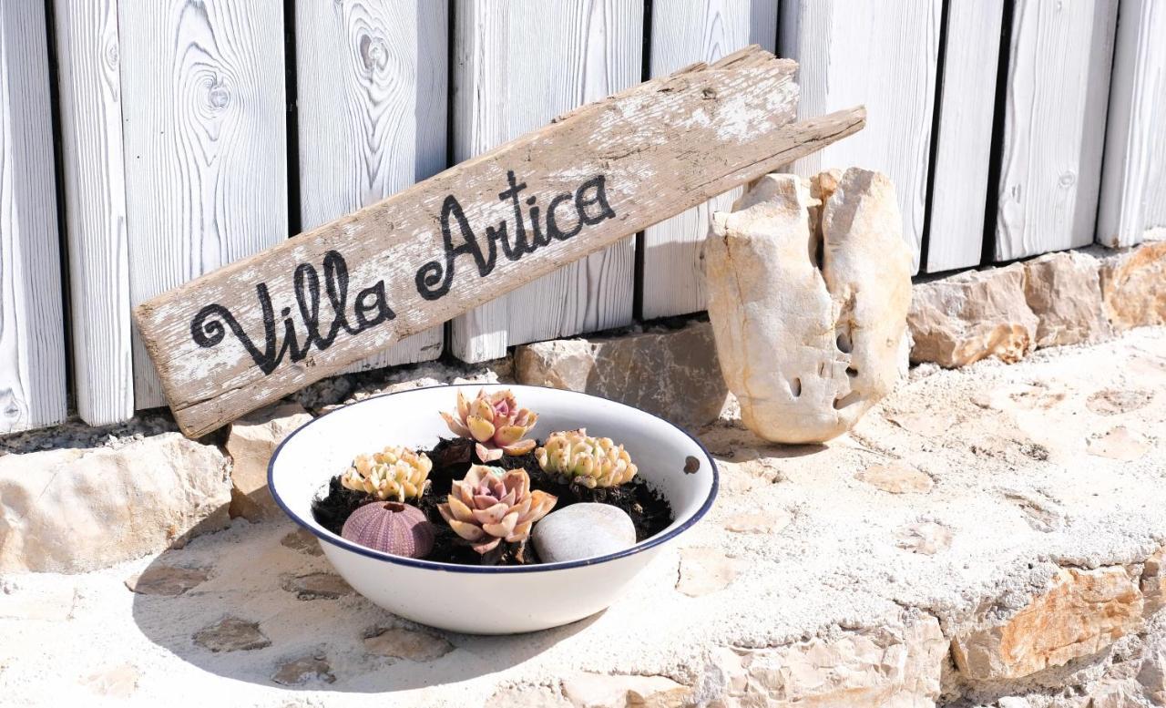 Camp Buqez 45 - Villa Artica ปาโกชตาเน ภายนอก รูปภาพ