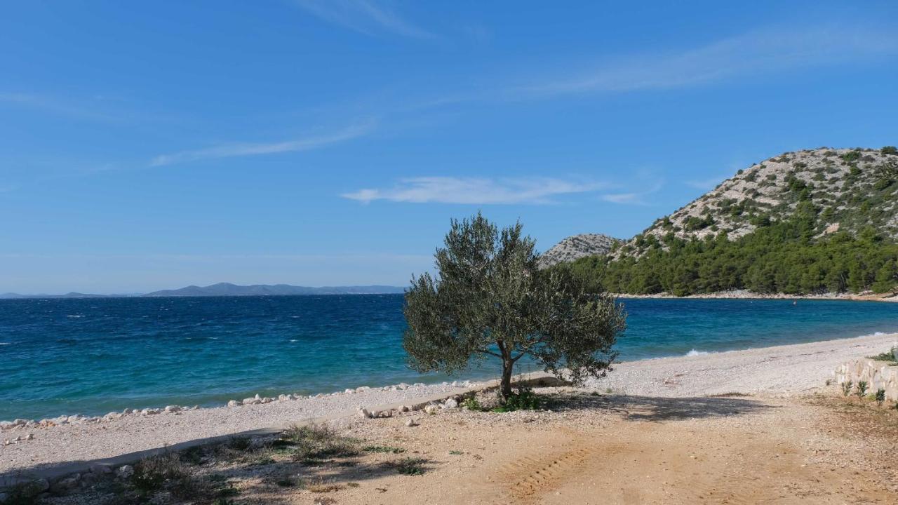 Camp Buqez 45 - Villa Artica ปาโกชตาเน ภายนอก รูปภาพ